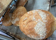 Surdeigsbrød/ BOX/ oppskåret grossist